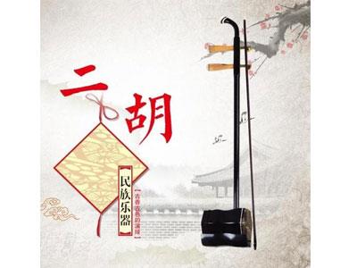 招聘钦州二胡家教老师